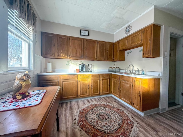 kitchen featuring sink and hardwood / wood-style flooring