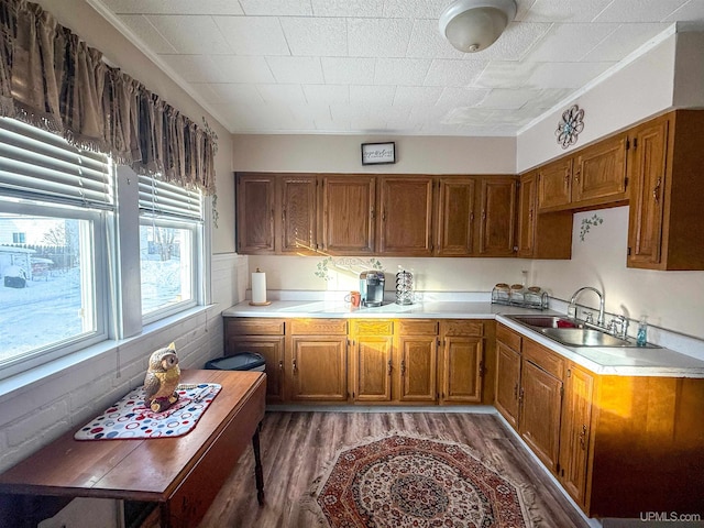 kitchen featuring dark wood-type flooring and sink