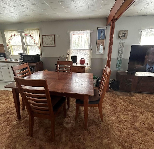 dining area with carpet