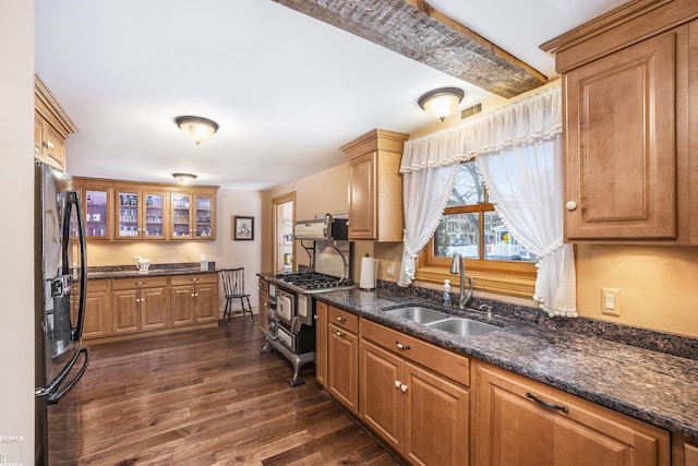 kitchen with appliances with stainless steel finishes, dark hardwood / wood-style floors, sink, and dark stone counters