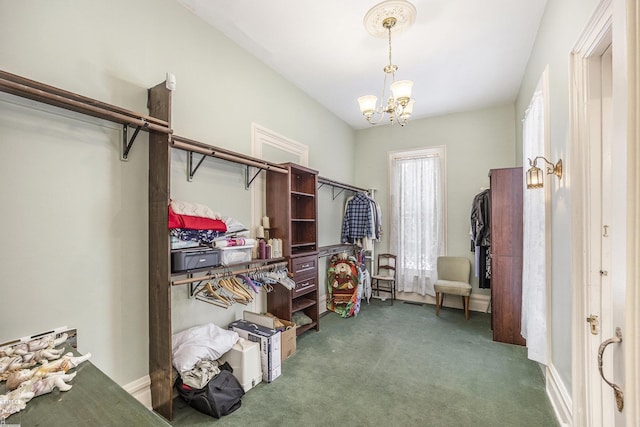 walk in closet with a chandelier and dark colored carpet