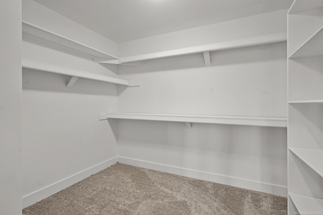 spacious closet with carpet floors