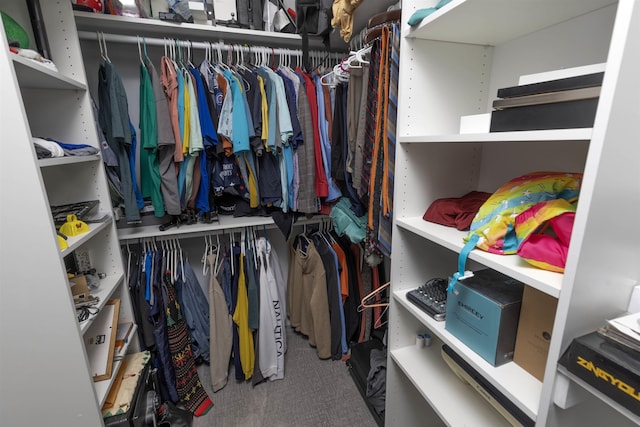 spacious closet with carpet