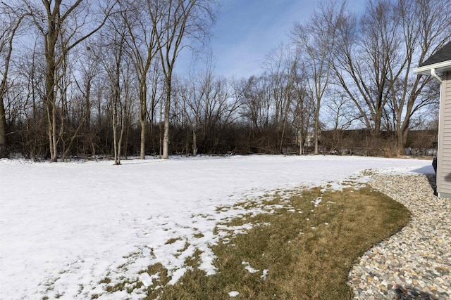 view of yard covered in snow