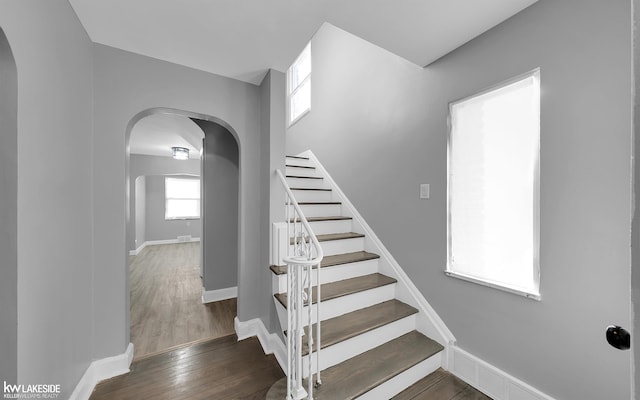 staircase with hardwood / wood-style floors