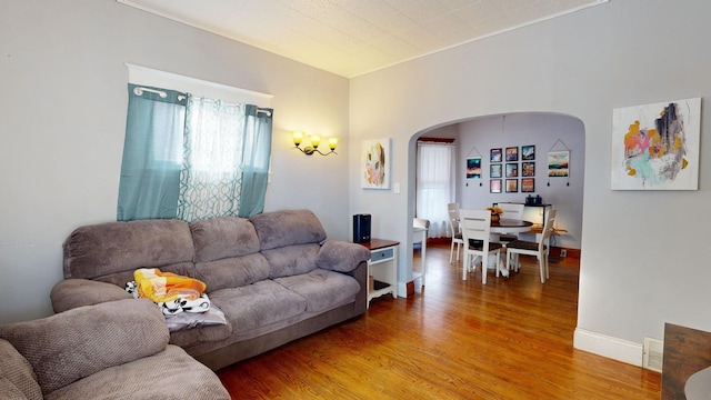 living room with wood-type flooring