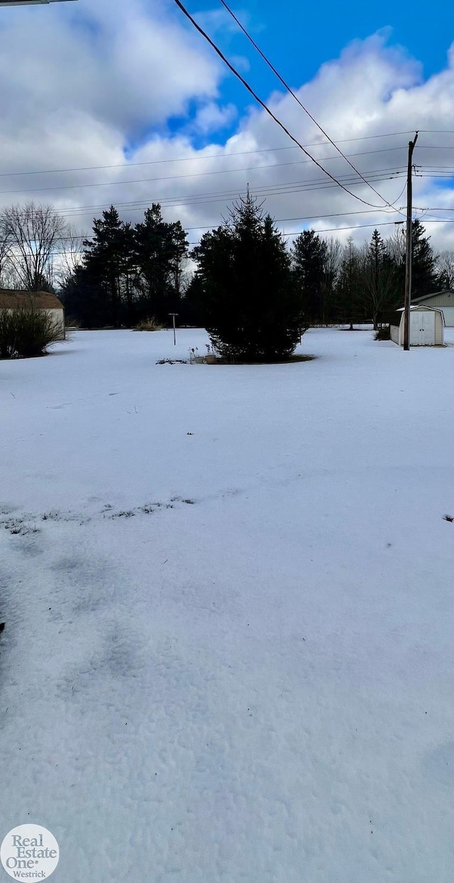 view of yard covered in snow