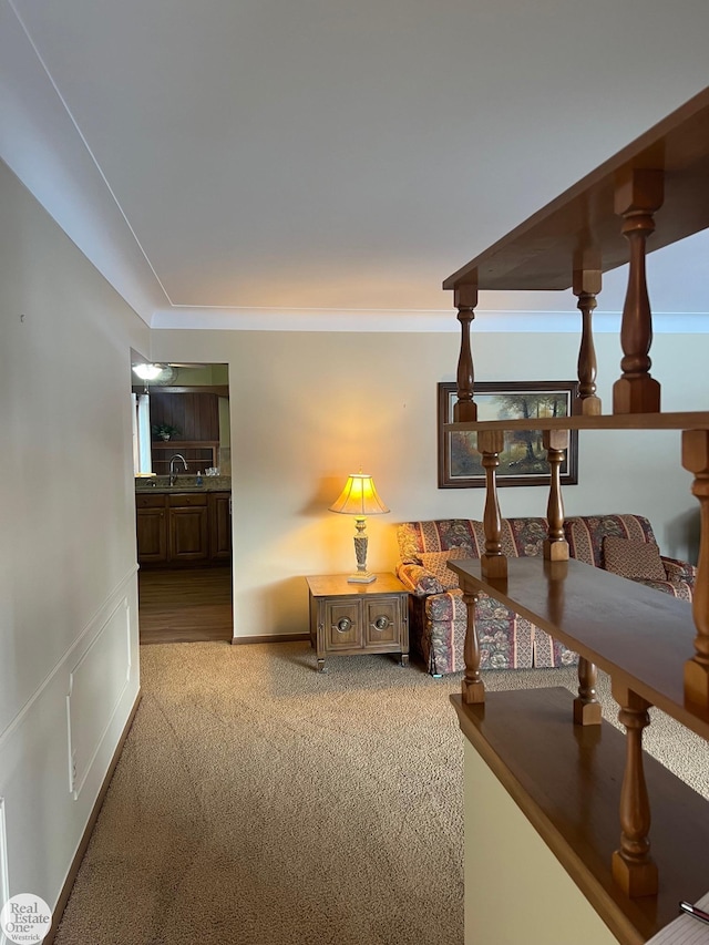 corridor with crown molding, sink, and carpet floors