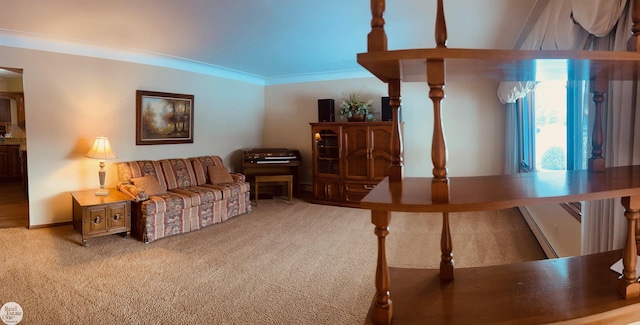 living room with ornamental molding and carpet floors