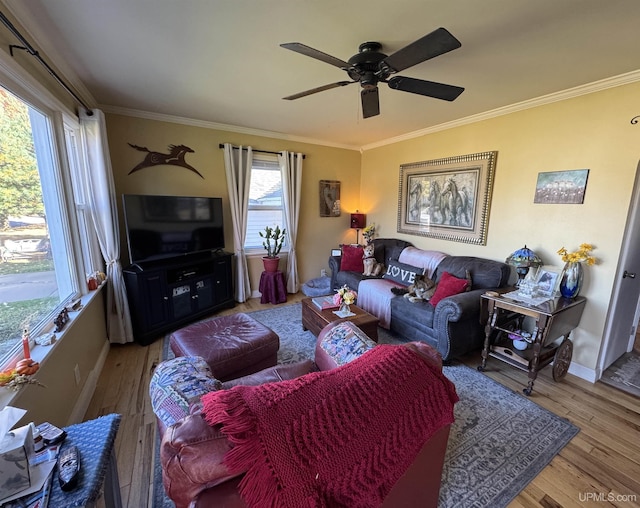 living room featuring ornamental molding, light hardwood / wood-style floors, and ceiling fan