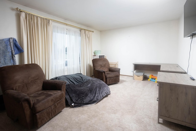 bedroom with light carpet