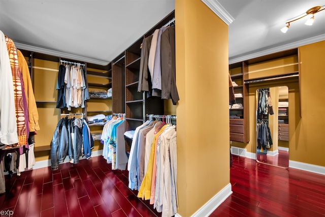 walk in closet featuring dark hardwood / wood-style flooring