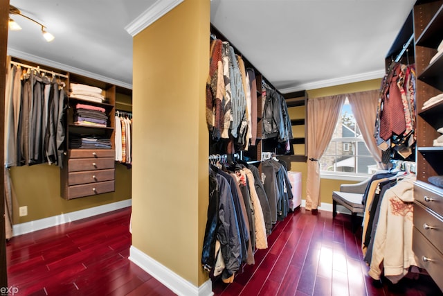 walk in closet featuring dark hardwood / wood-style flooring