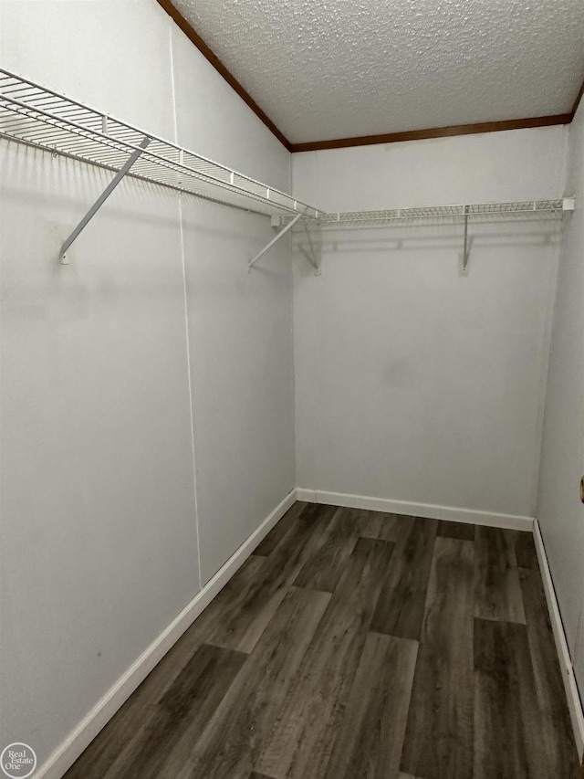 spacious closet featuring dark wood-type flooring