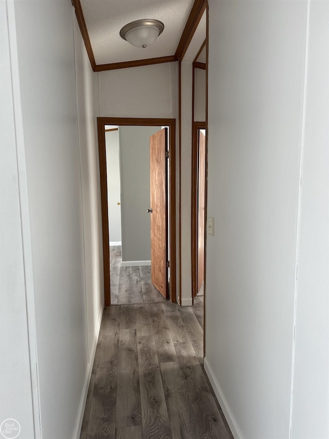 hallway featuring crown molding, dark hardwood / wood-style floors, and a textured ceiling