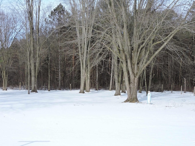 view of snowy view