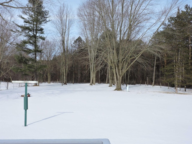 view of yard covered in snow