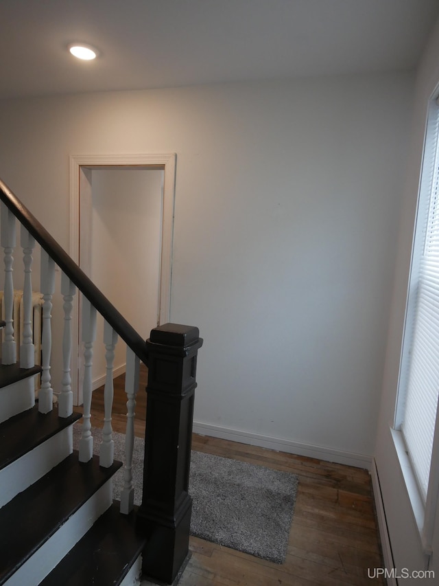 stairway with wood-type flooring