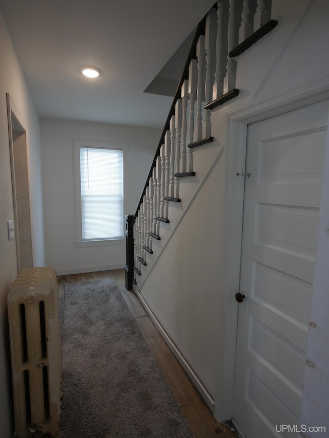 stairway featuring hardwood / wood-style flooring