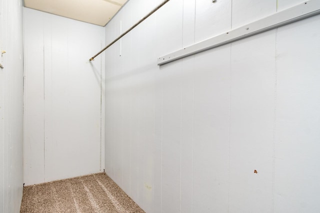 walk in closet featuring light colored carpet