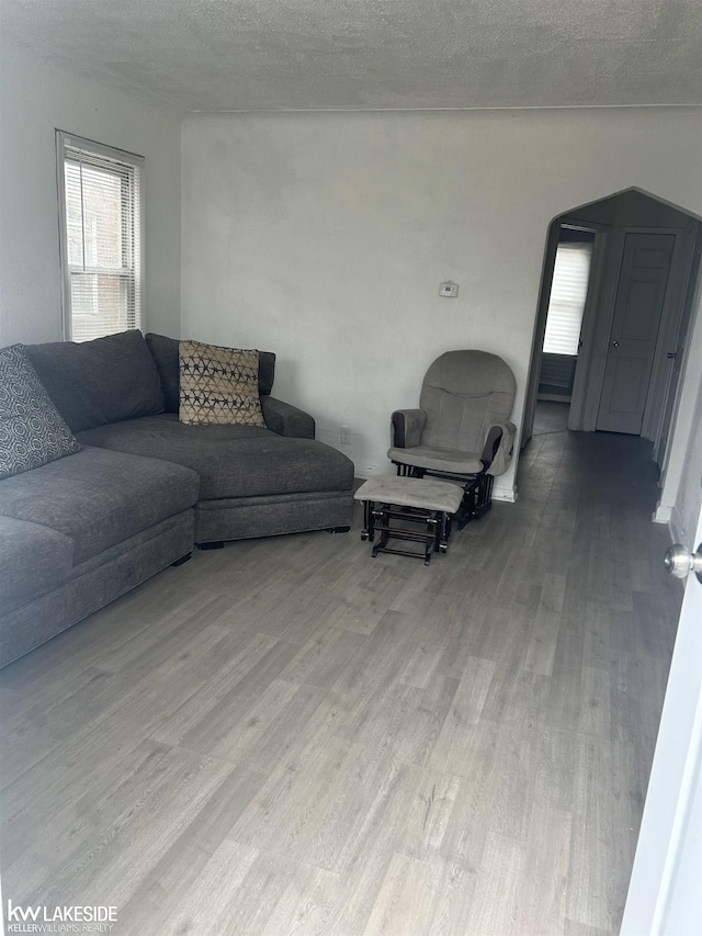 living room featuring wood-type flooring and a textured ceiling