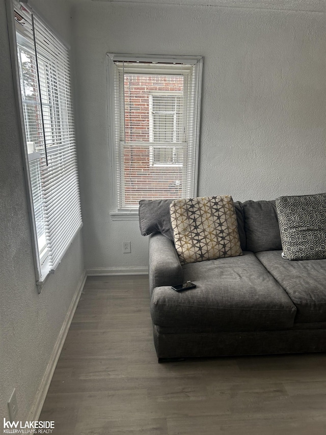 living room with hardwood / wood-style floors and a wealth of natural light