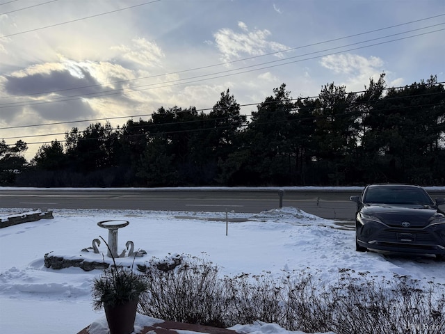 view of yard covered in snow