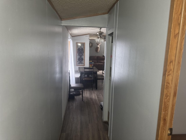 hallway with lofted ceiling, dark hardwood / wood-style floors, and a textured ceiling