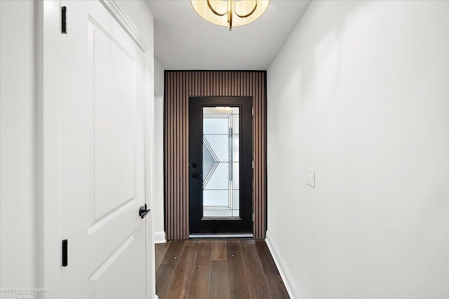 doorway to outside with dark wood-type flooring