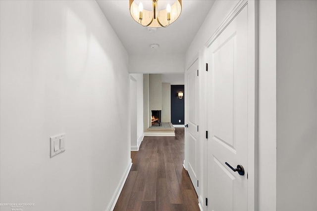 hallway featuring dark hardwood / wood-style flooring and a notable chandelier