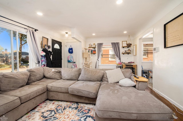 living room featuring wood-type flooring