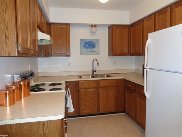 kitchen featuring white refrigerator, sink, light hardwood / wood-style flooring, and range with electric cooktop