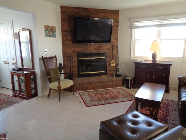 living room featuring wood-type flooring and a fireplace