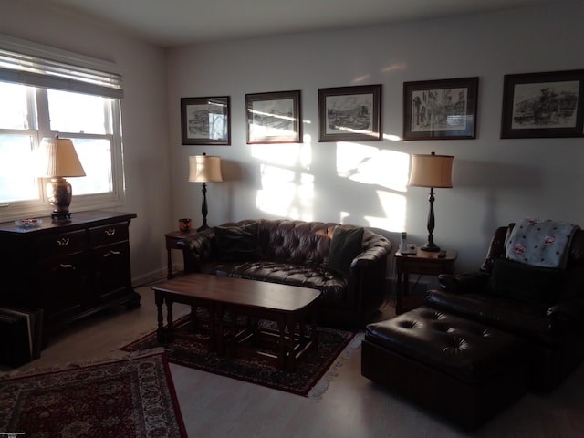 living room with light wood-type flooring