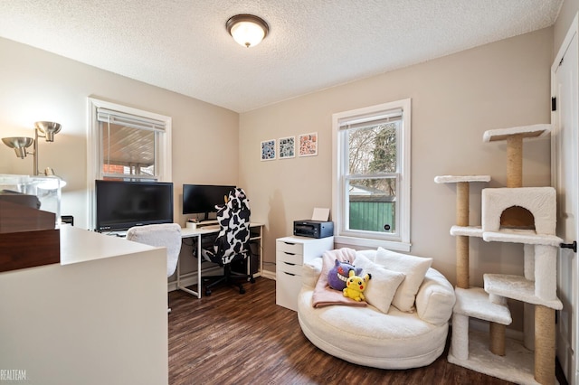 home office featuring dark hardwood / wood-style floors and a textured ceiling