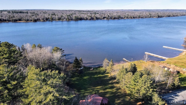 drone / aerial view with a water view and a wooded view