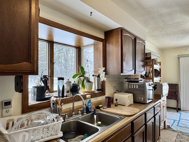 kitchen featuring dark brown cabinets, a sink, and a toaster