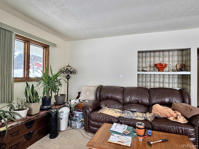 carpeted living room with a textured ceiling