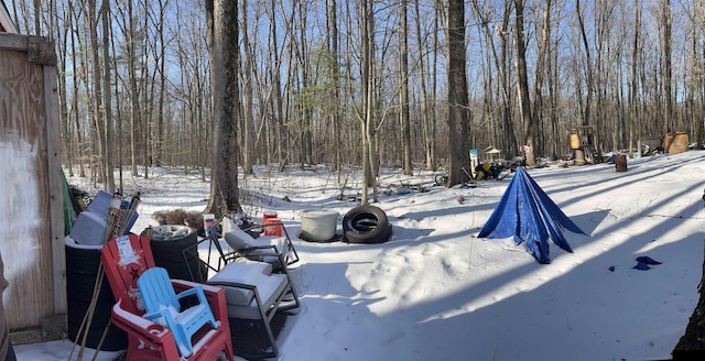 view of snowy yard