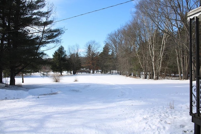 view of snowy yard