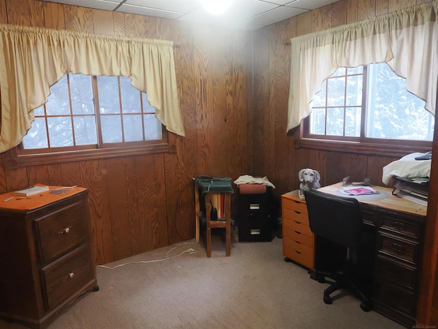 office featuring wood walls and light colored carpet