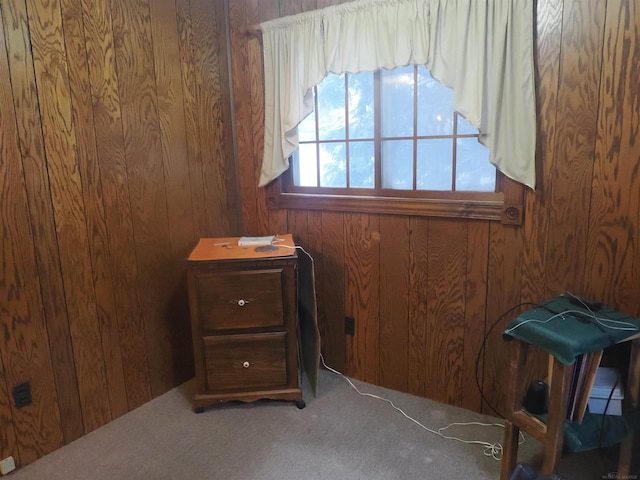 interior details featuring carpet floors and wood walls