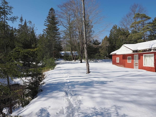 view of yard covered in snow