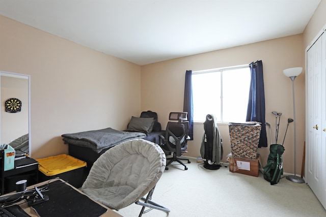 bedroom with a closet and carpet