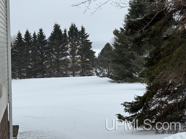 view of yard covered in snow