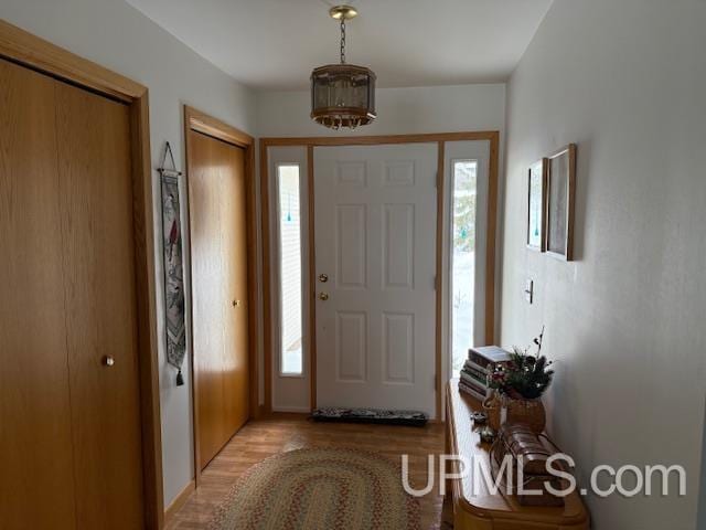 foyer with light wood-type flooring and a healthy amount of sunlight