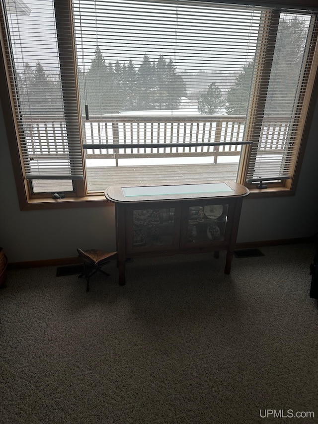 unfurnished room featuring carpet floors, a wealth of natural light, and baseboards