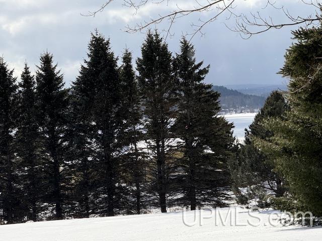 view of mountain feature featuring a forest view