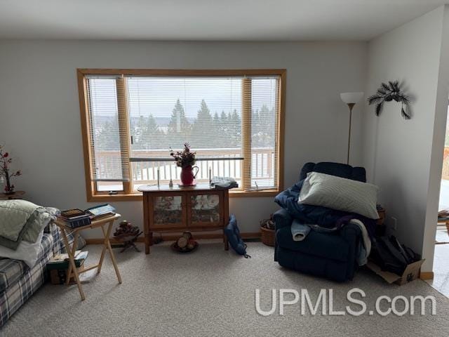 living area with carpet floors