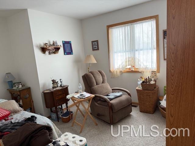 bedroom featuring carpet flooring